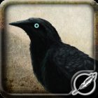 Munin