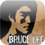 Bruce Lee Dragon Warrior