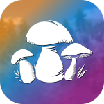 Real Mushroom Hunting Simulator 3D