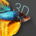 Betta Fish 3D – 3D Live Wallpaper