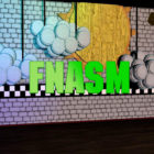 FNASM