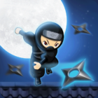 Soul Ninja – Auto Shooting