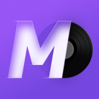 Md Vinyl Music Player Widget