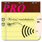 Voice Notes (Pro)