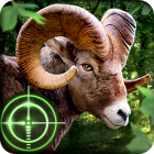 Wild Hunter 3d